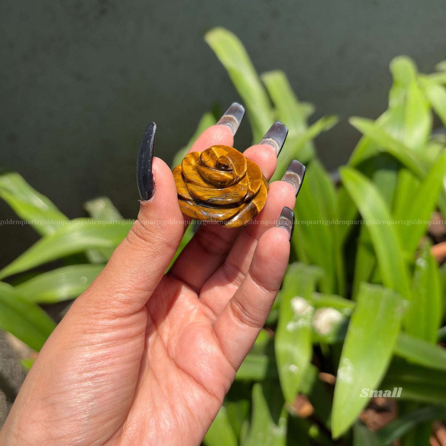 CRYSTAL ROSES - Golden Quartz