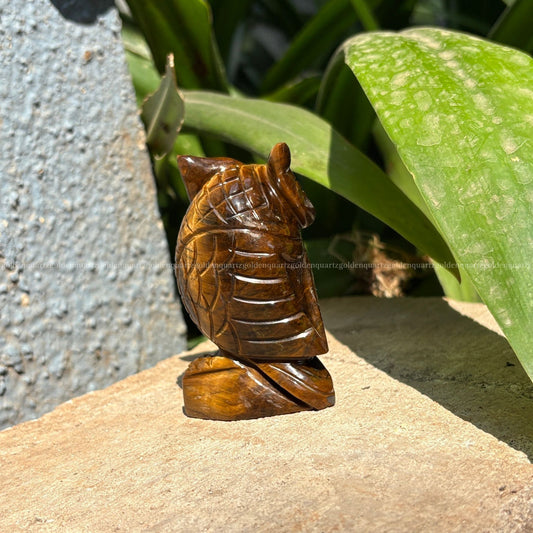 Tiger Eye Owl - Golden Quartz