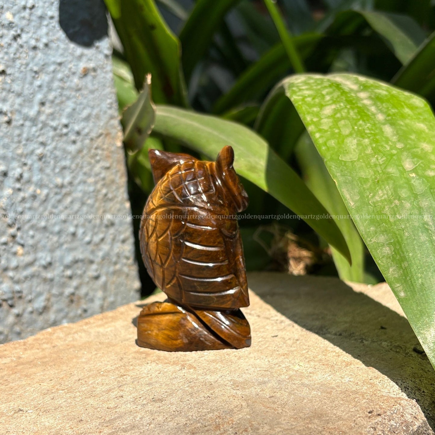 Tiger Eye Owl - Golden Quartz