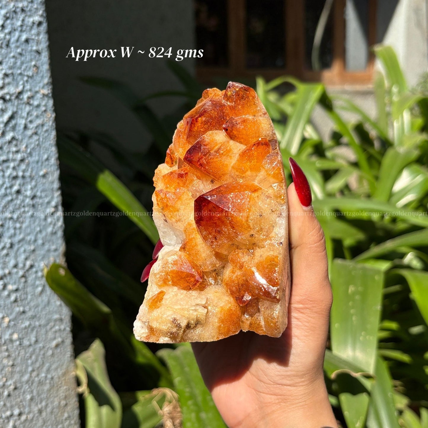 Citrine Cluster/ Geode