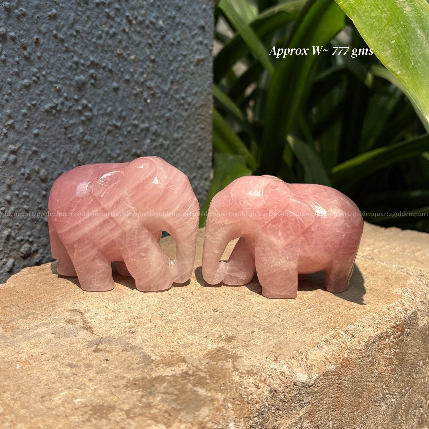Rose Quartz Elephant Pair (Trunk Up)