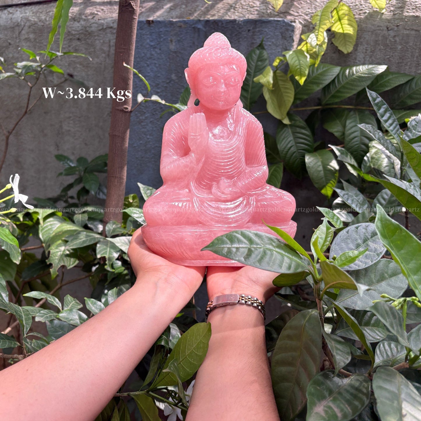 Rose Quartz Buddha – Love, Peace & Emotional Healing