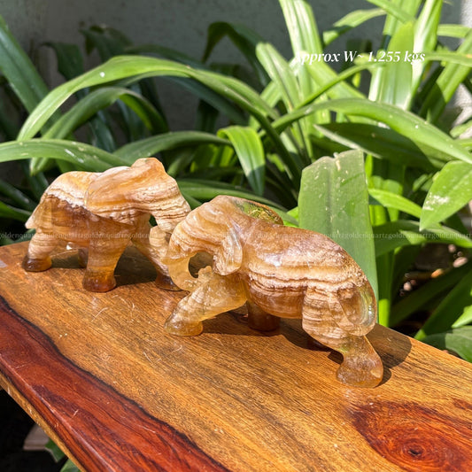 Yellow/ Chocolate Fluorite Elephants Pair (Trunk Down)