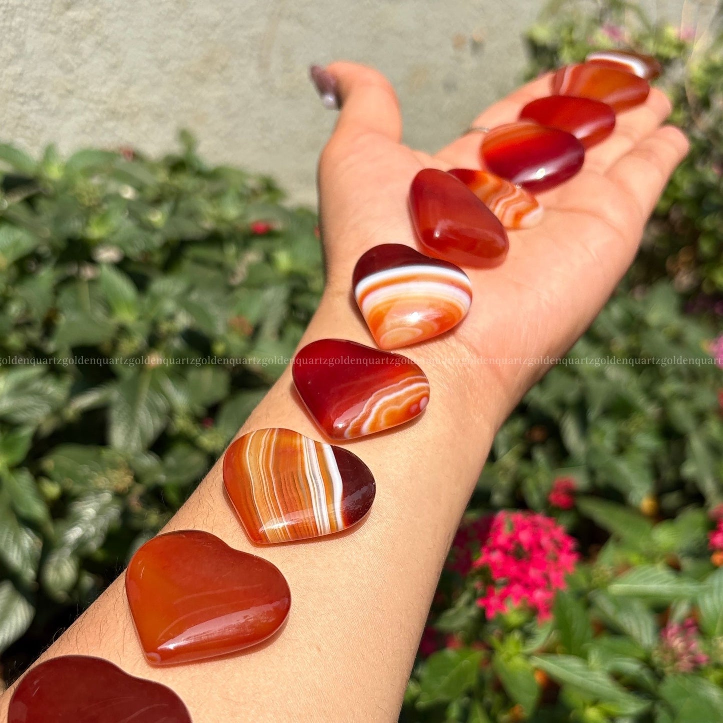 Carnelian Baby Banded Hearts