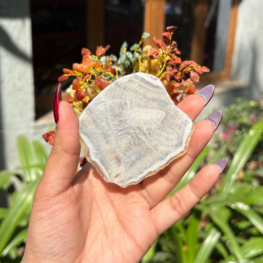 7 Seven Chakra Agate Slice Coaster Base - Golden Quartz