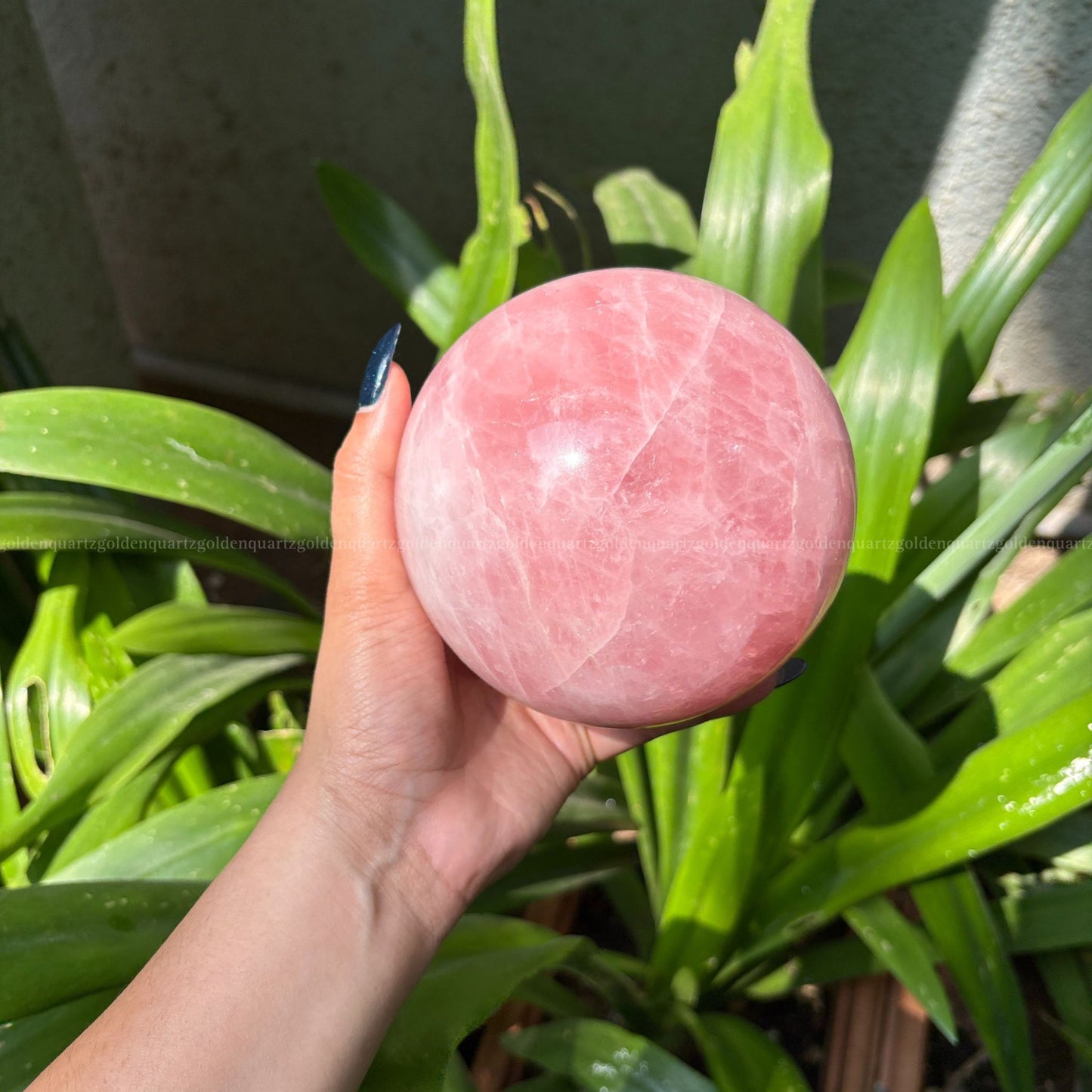 ROSE QUARTZ SPHERE - Golden Quartz