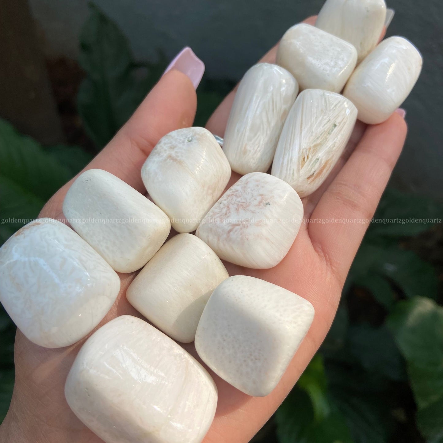 White Scolecite Tumble Stone - Golden Quartz