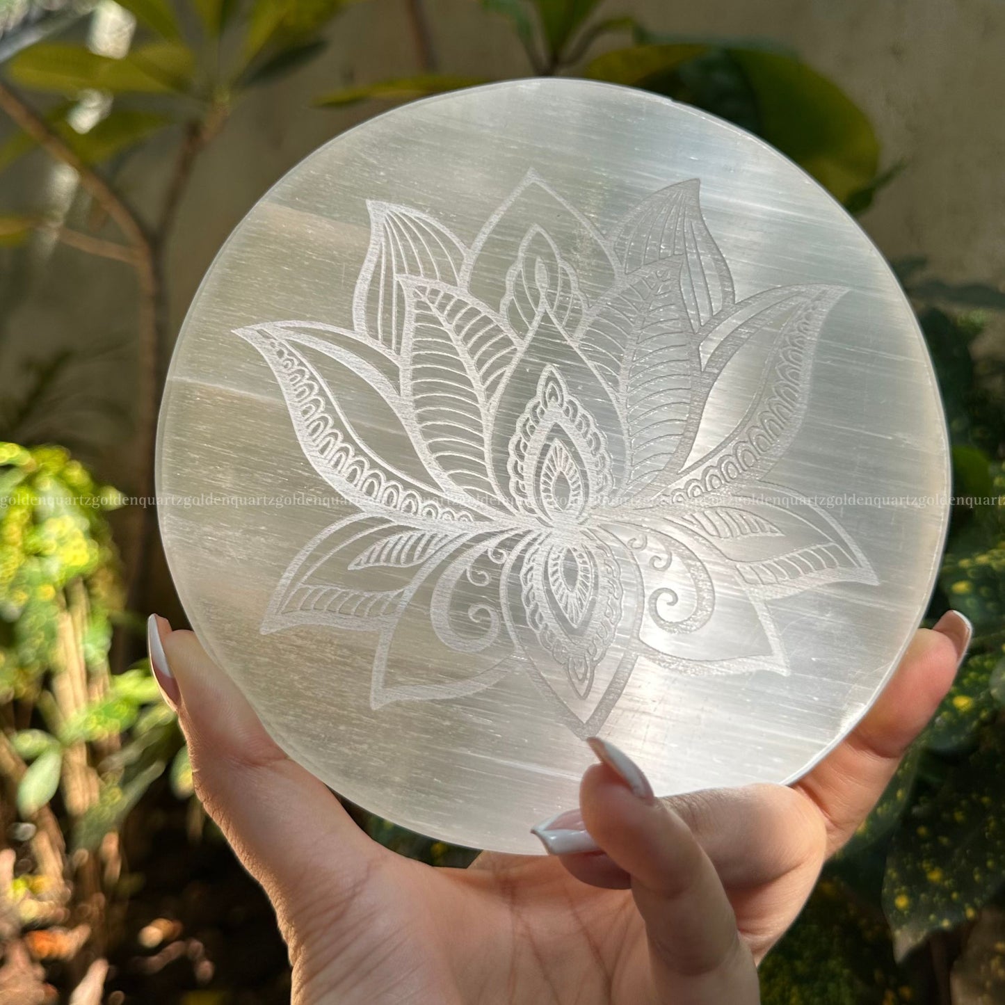SELENITE PLATE - Golden Quartz