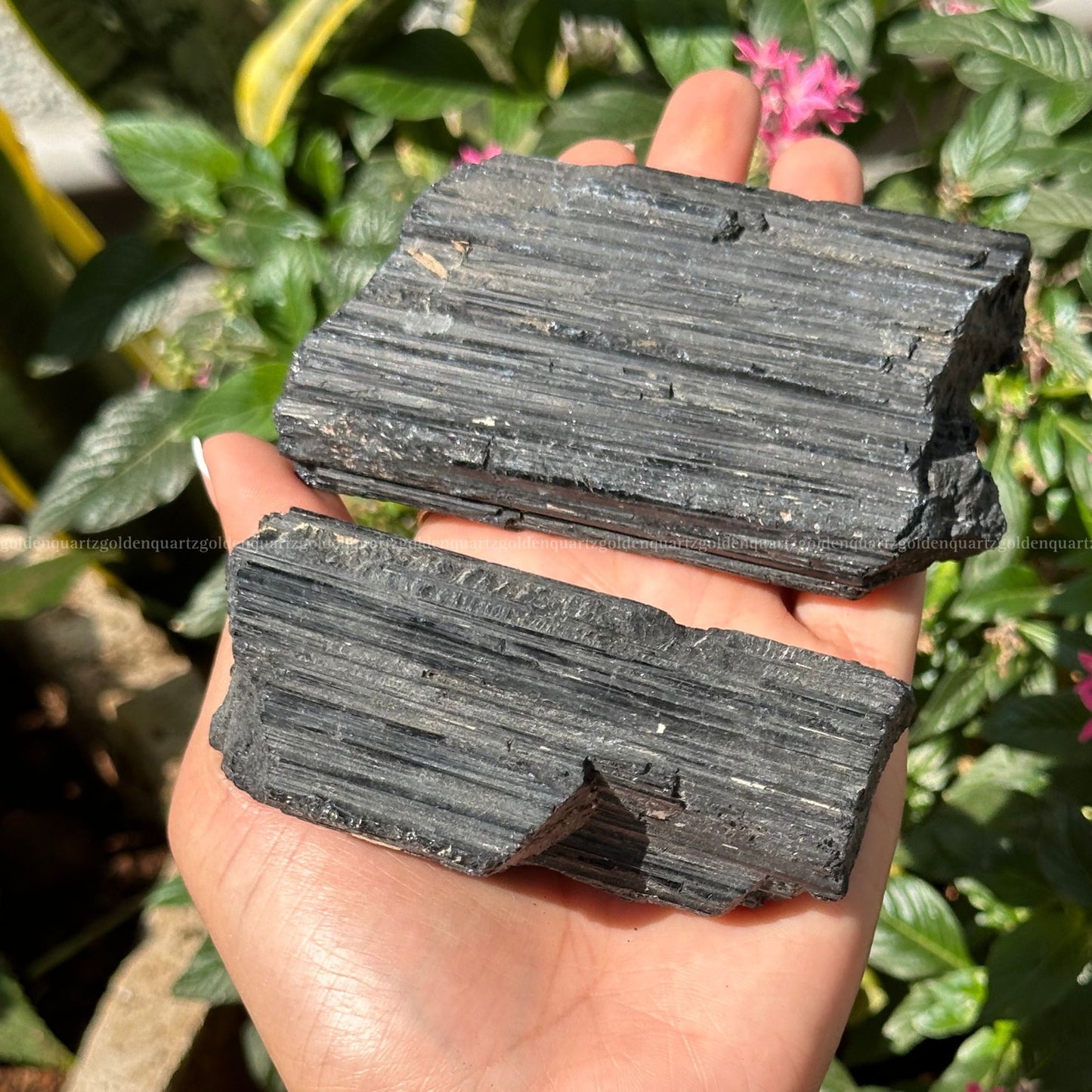 BLACK TOURMALINE RAW - Golden Quartz