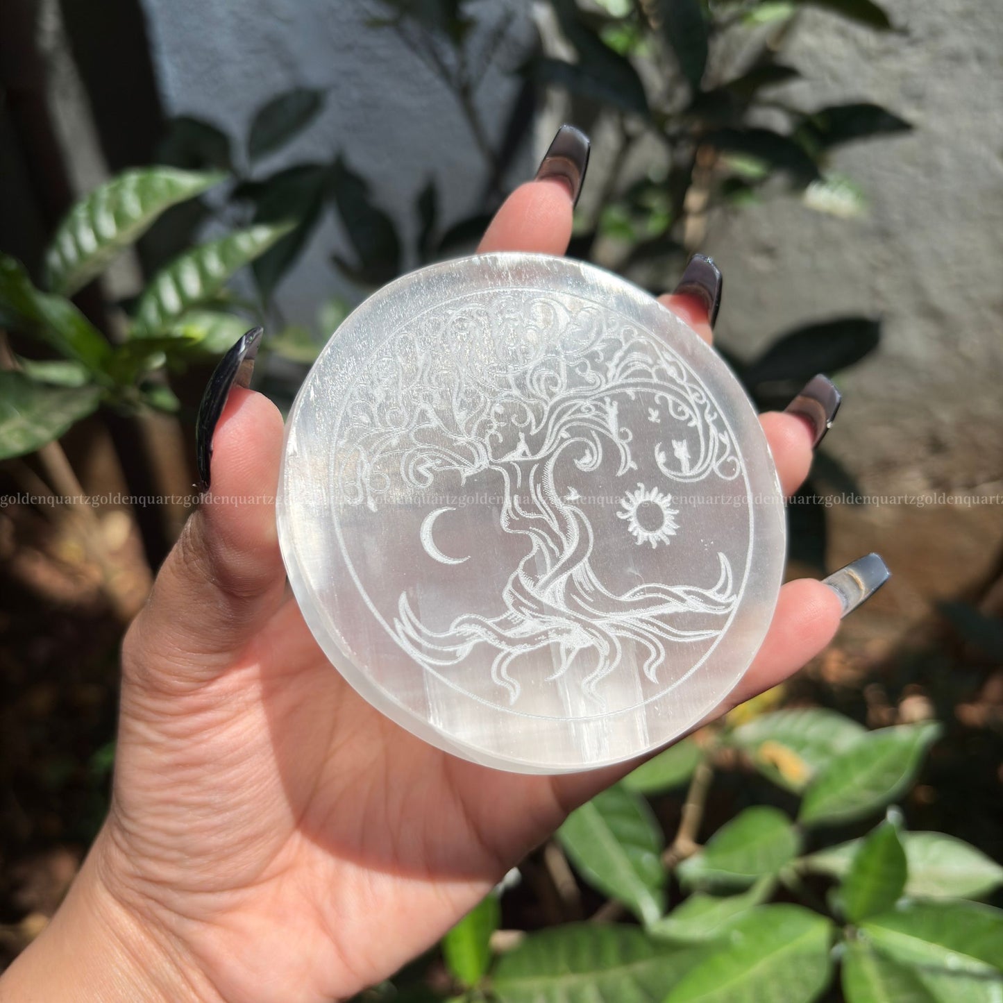 Tree Of Life Sun & Moon Selenite Charging Plate ( White Etched ) 3"
