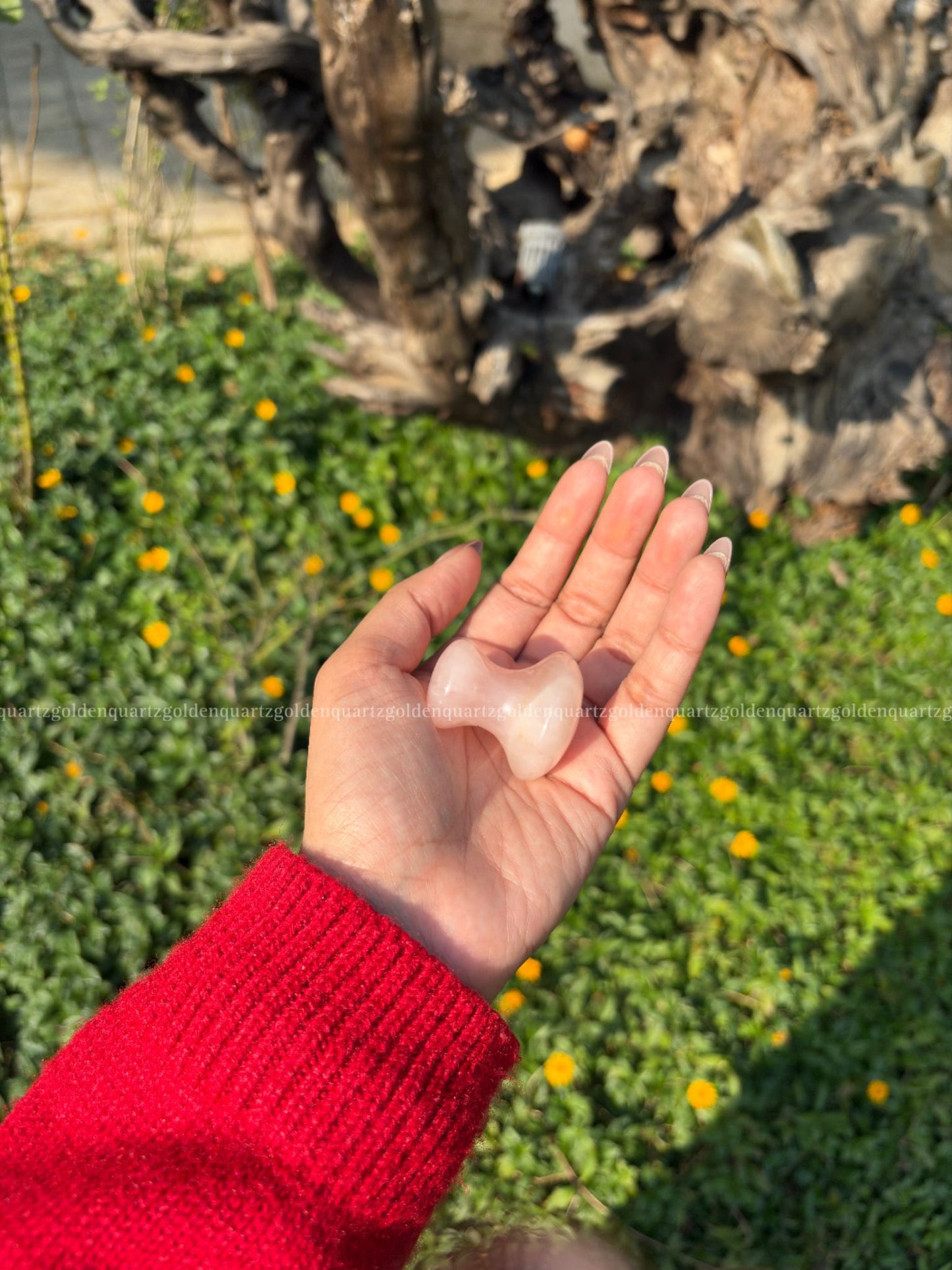 Rose Quartz Mushroom Gua Sha - Golden Quartz