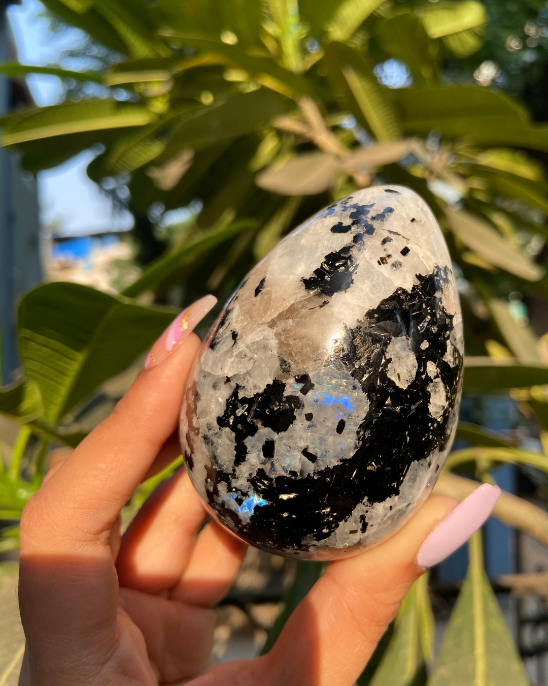 Oval Moonstone - Golden Quartz 