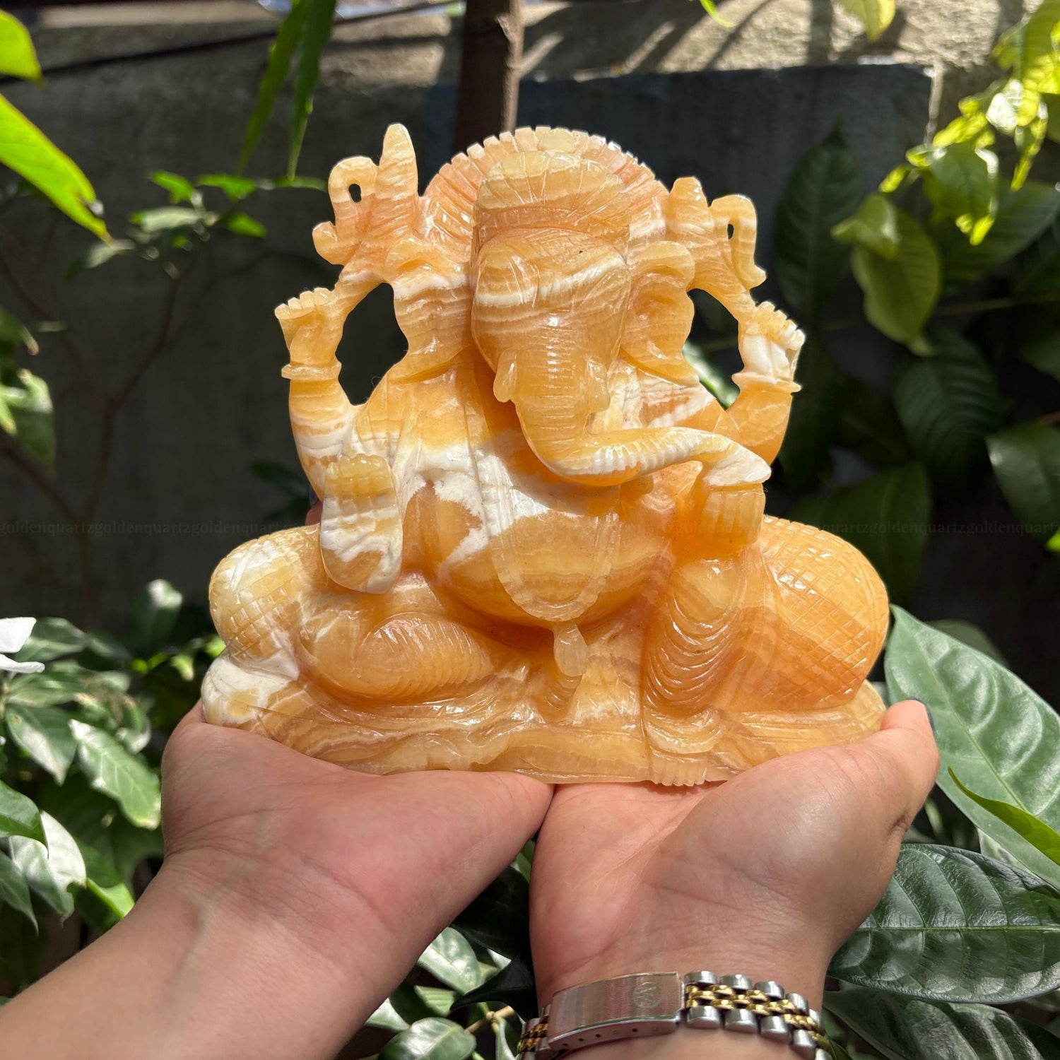Murti's