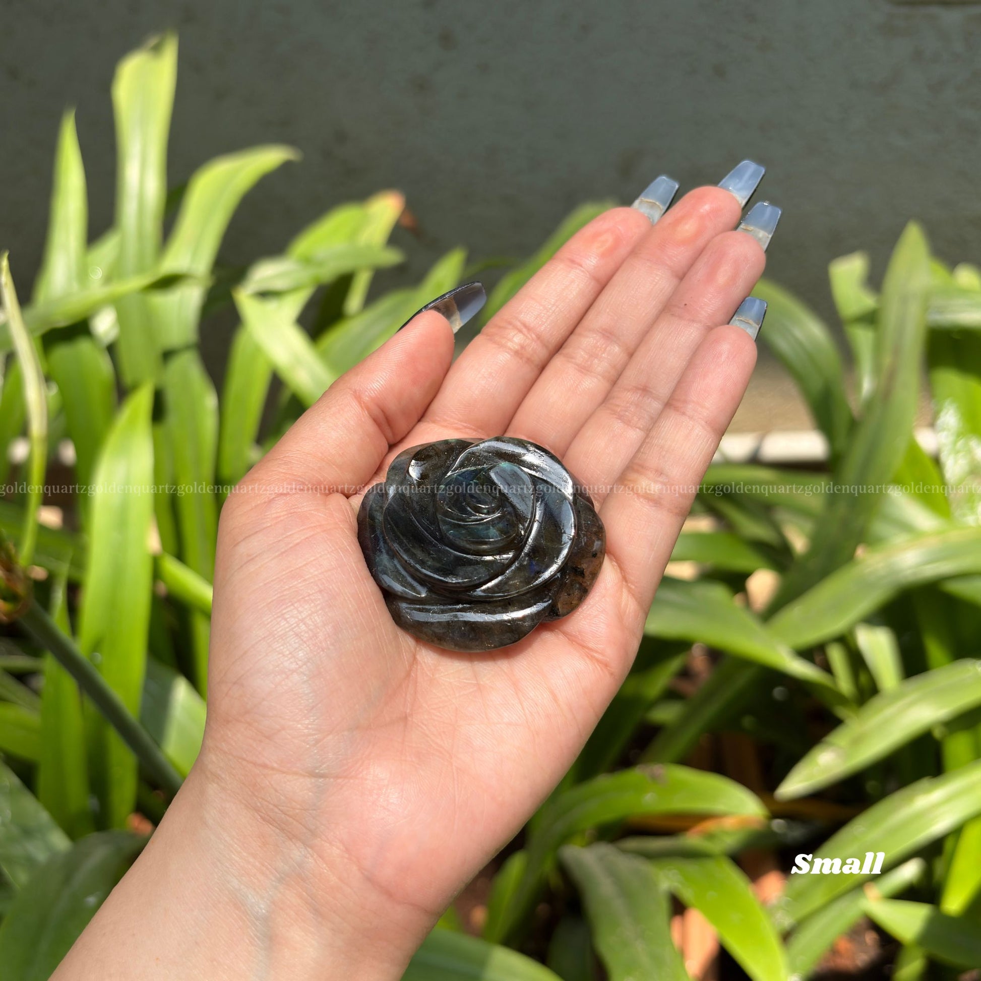 CRYSTAL ROSES - Golden Quartz 