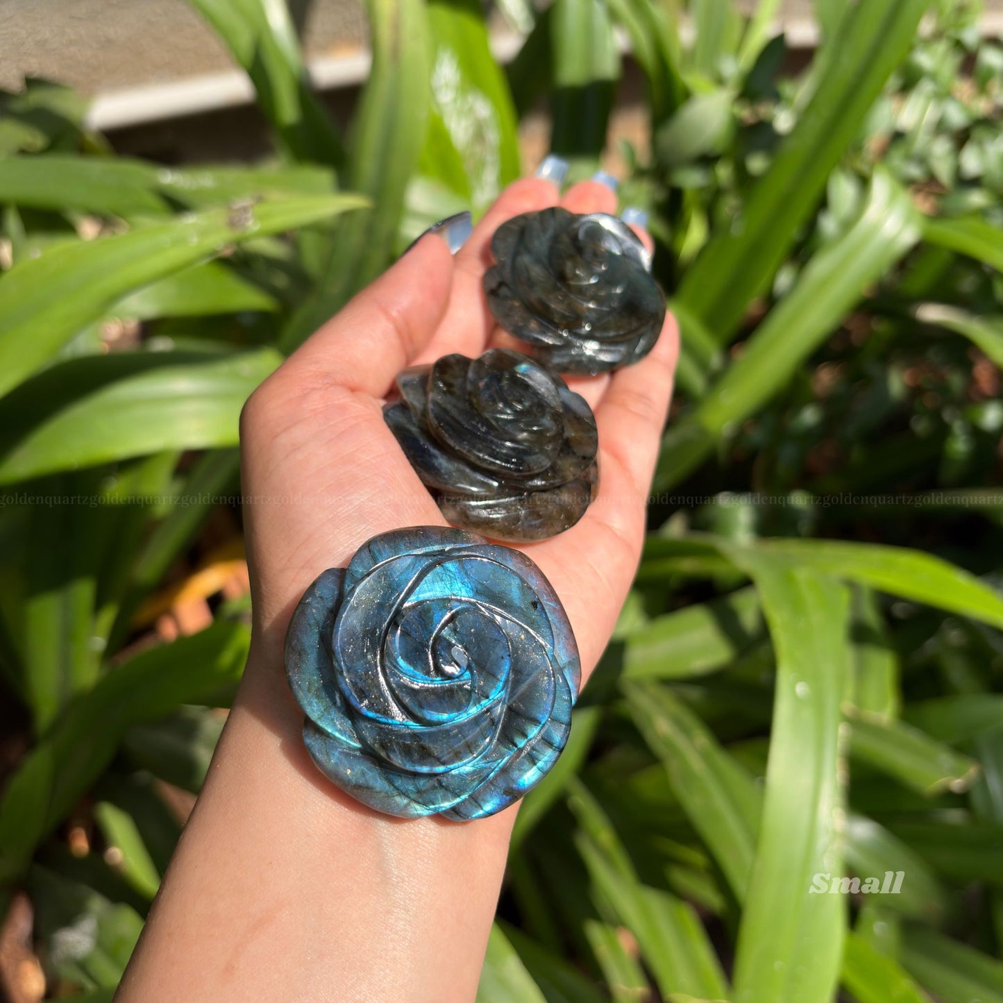 CRYSTAL ROSES - Golden Quartz 