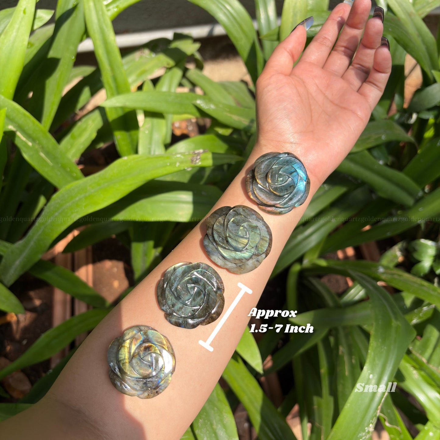 CRYSTAL ROSES - Golden Quartz 