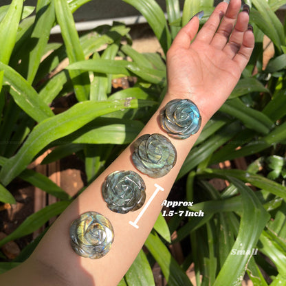 CRYSTAL ROSES - Golden Quartz 