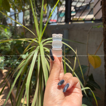 Selenite Baby Owls – Wisdom, Calmness & Pure Energy