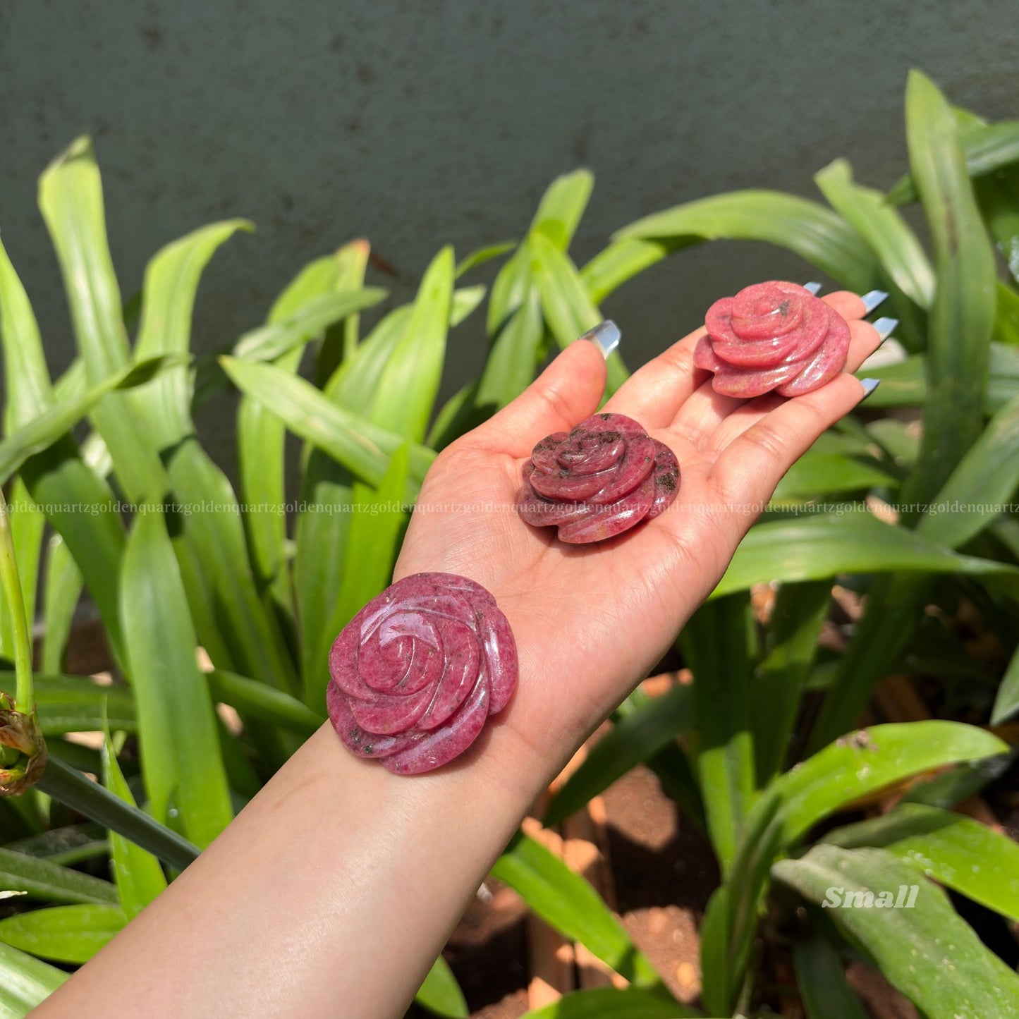 CRYSTAL ROSES - Golden Quartz 