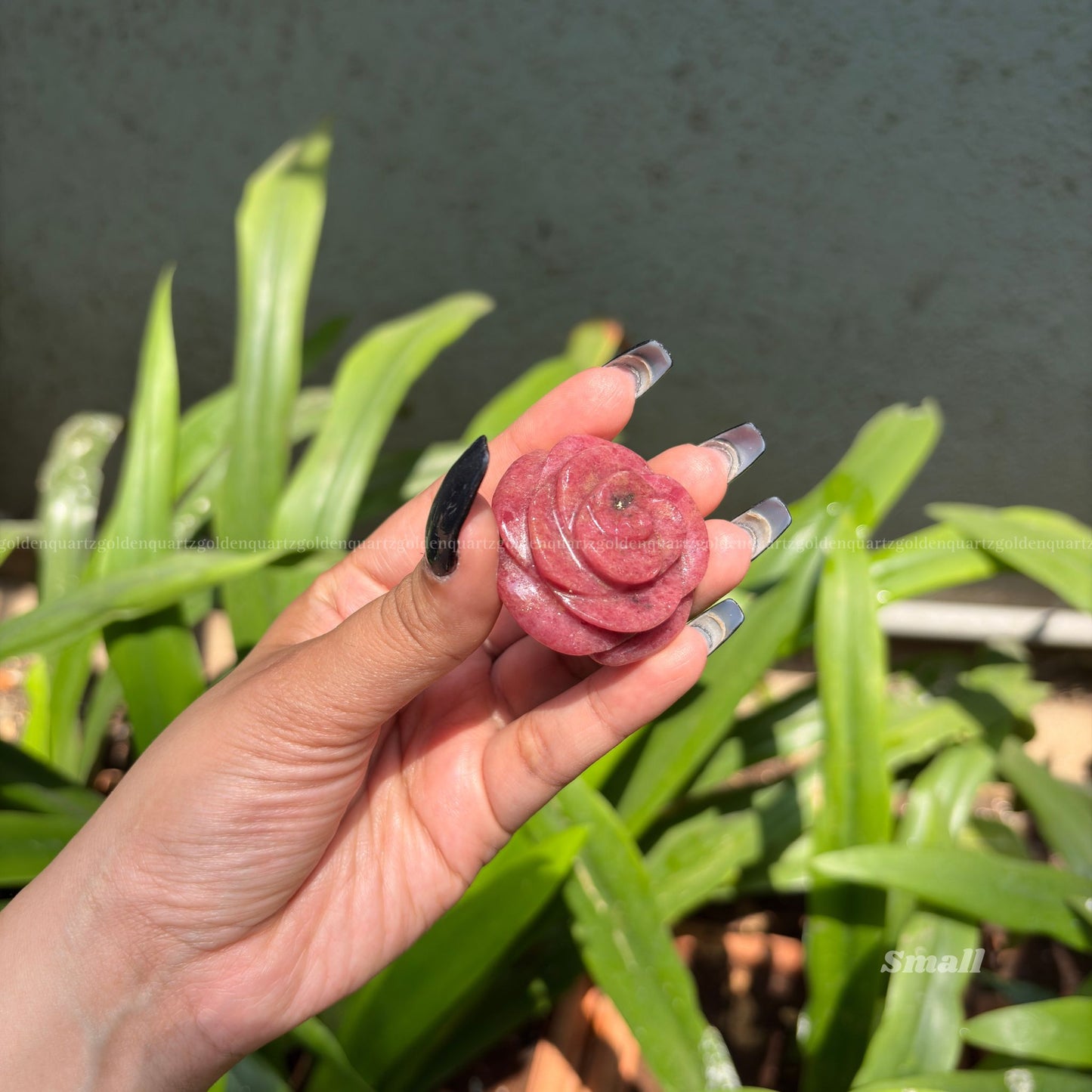 CRYSTAL ROSES - Golden Quartz 