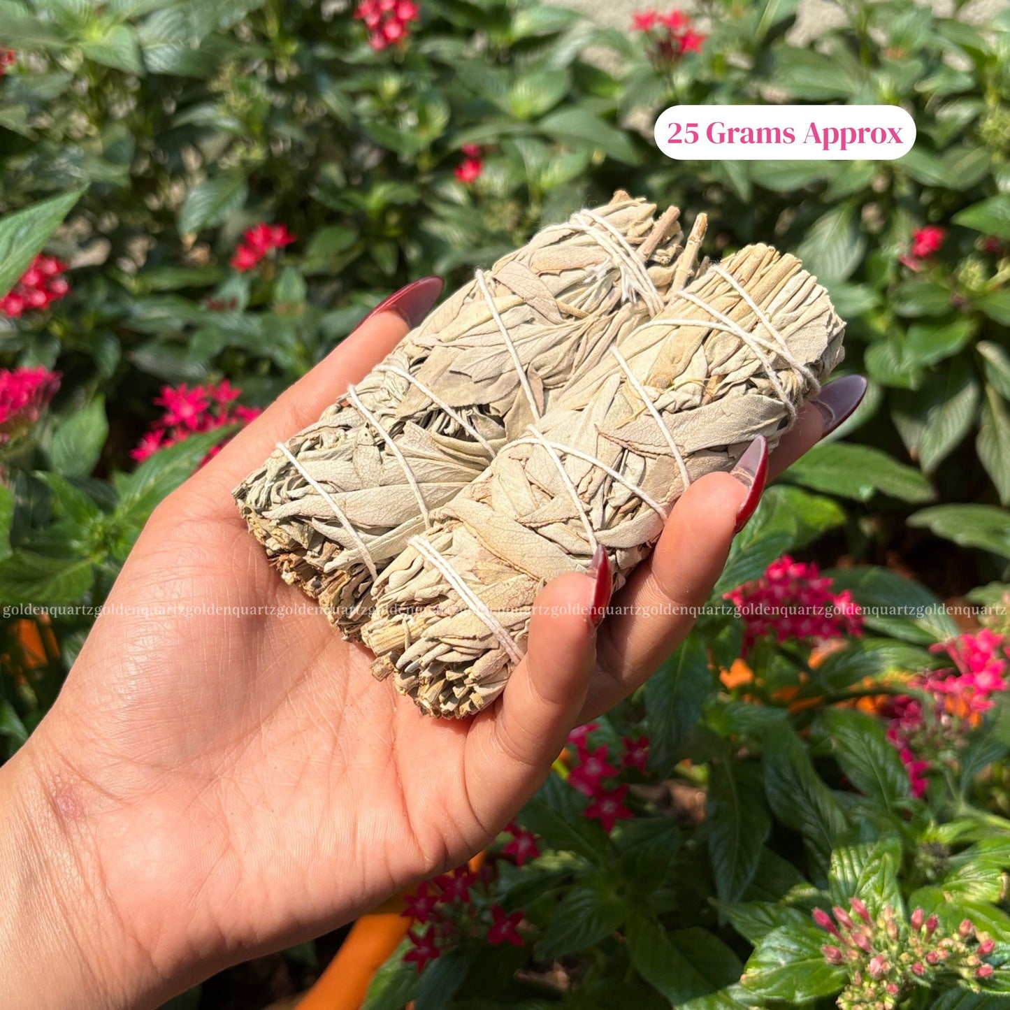 SAGE (WHITE CALIFORNIA SAGE)