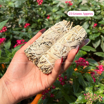 SAGE (WHITE CALIFORNIA SAGE)
