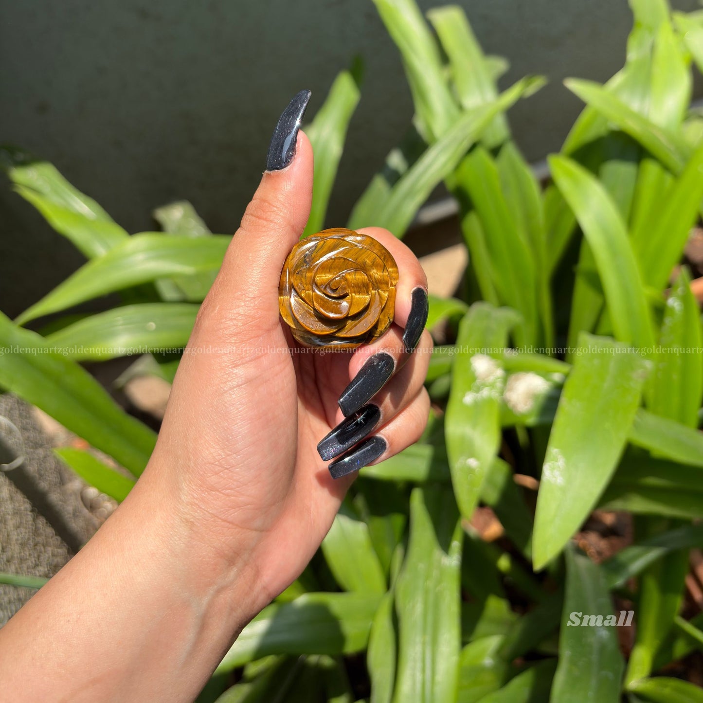 CRYSTAL ROSES - Golden Quartz 