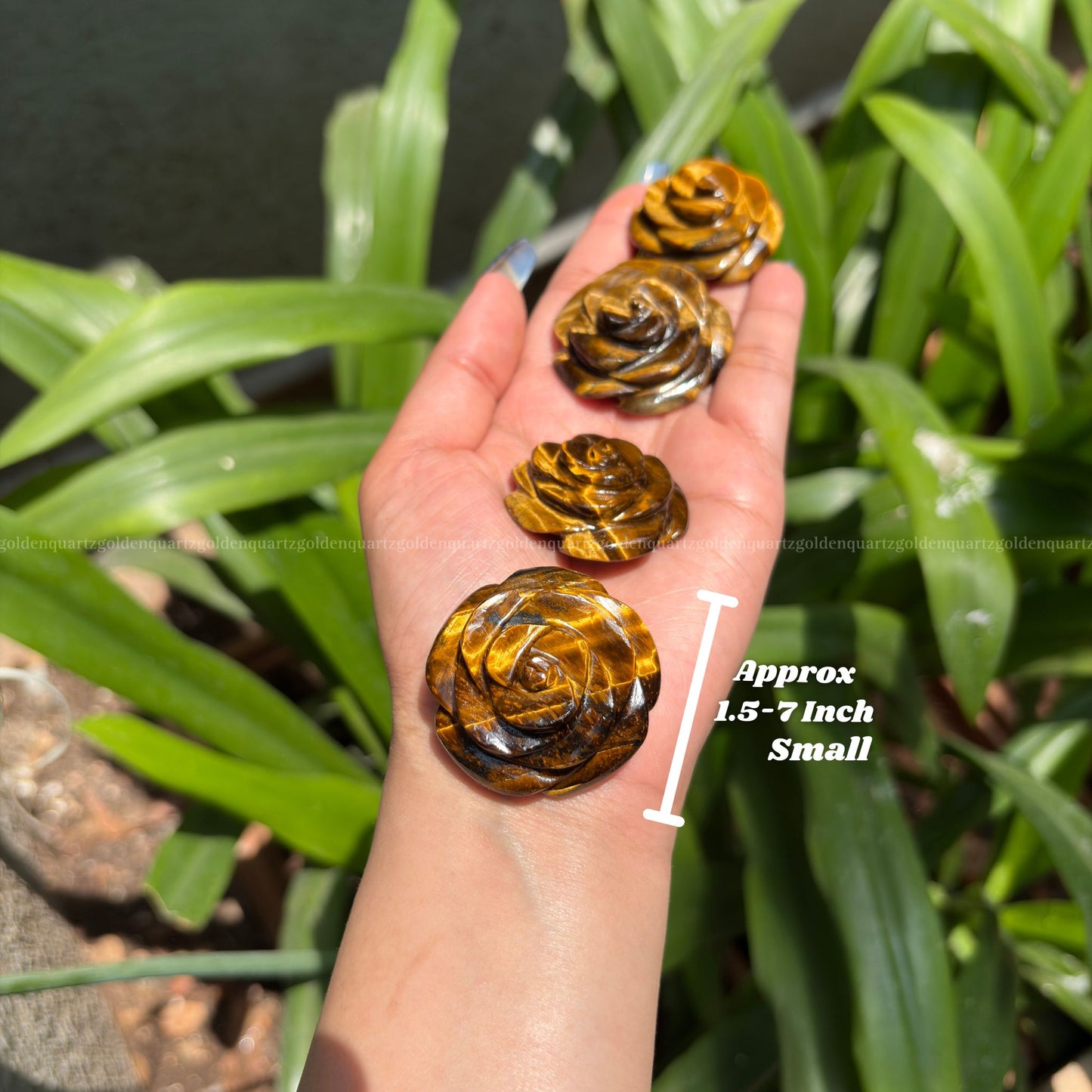 CRYSTAL ROSES - Golden Quartz 