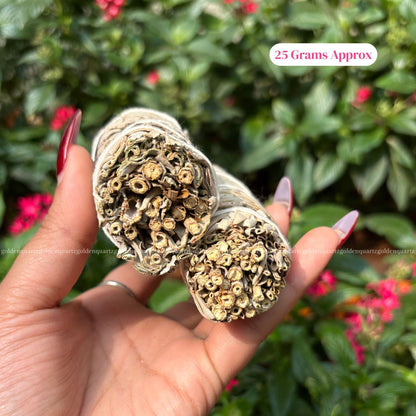 SAGE (WHITE CALIFORNIA SAGE)