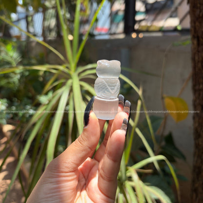 Selenite Baby Owls – Wisdom, Calmness & Pure Energy