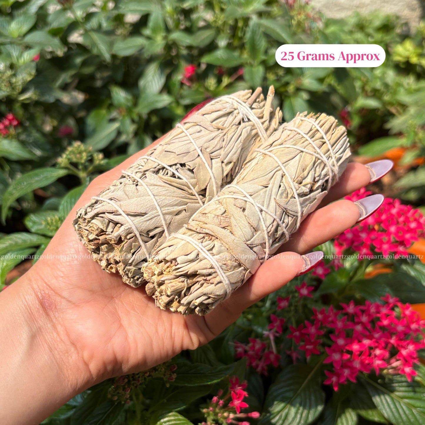 SAGE (WHITE CALIFORNIA SAGE)