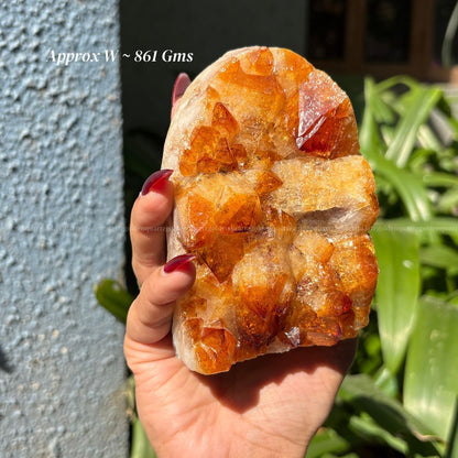 Citrine Cluster/ Geode