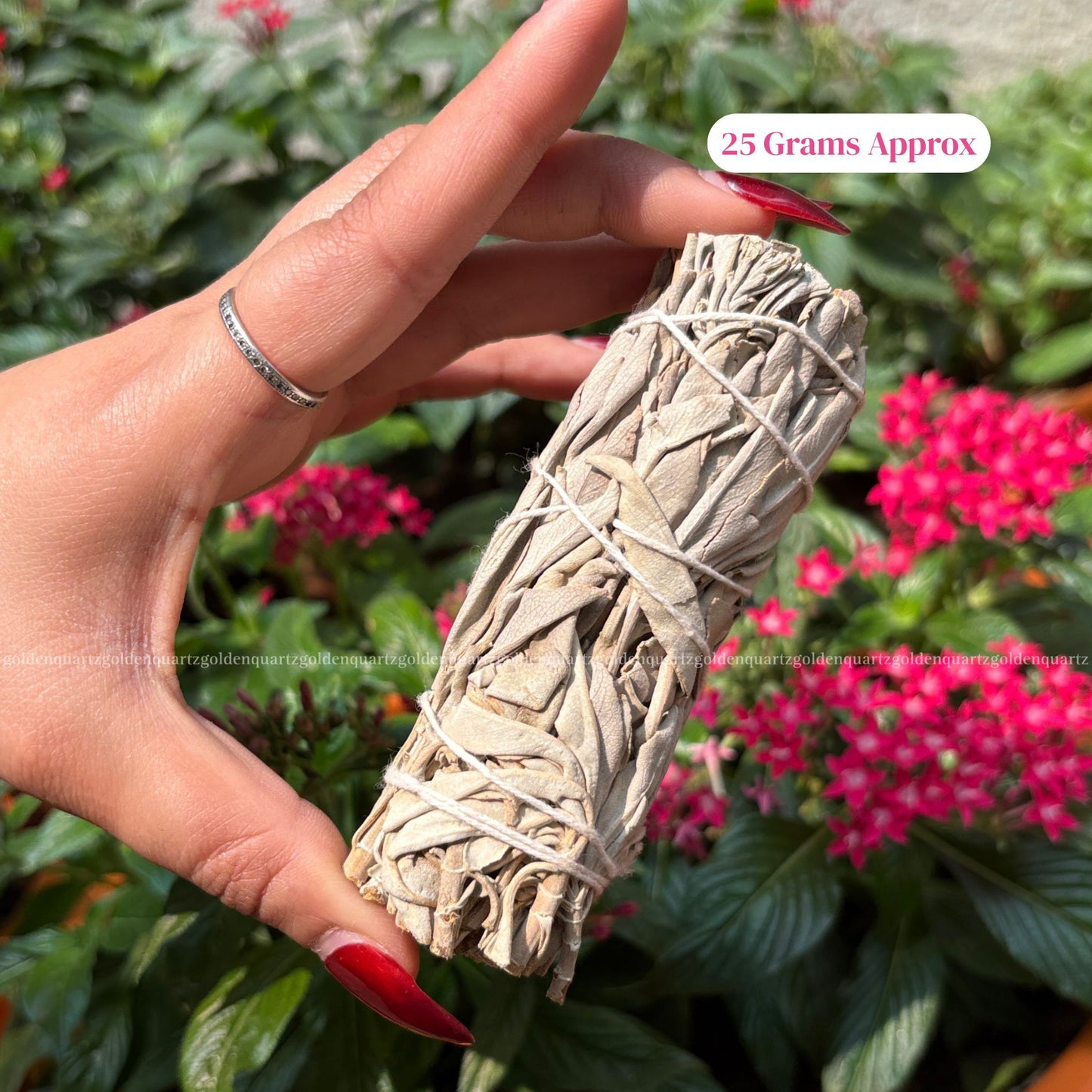 SAGE (WHITE CALIFORNIA SAGE)