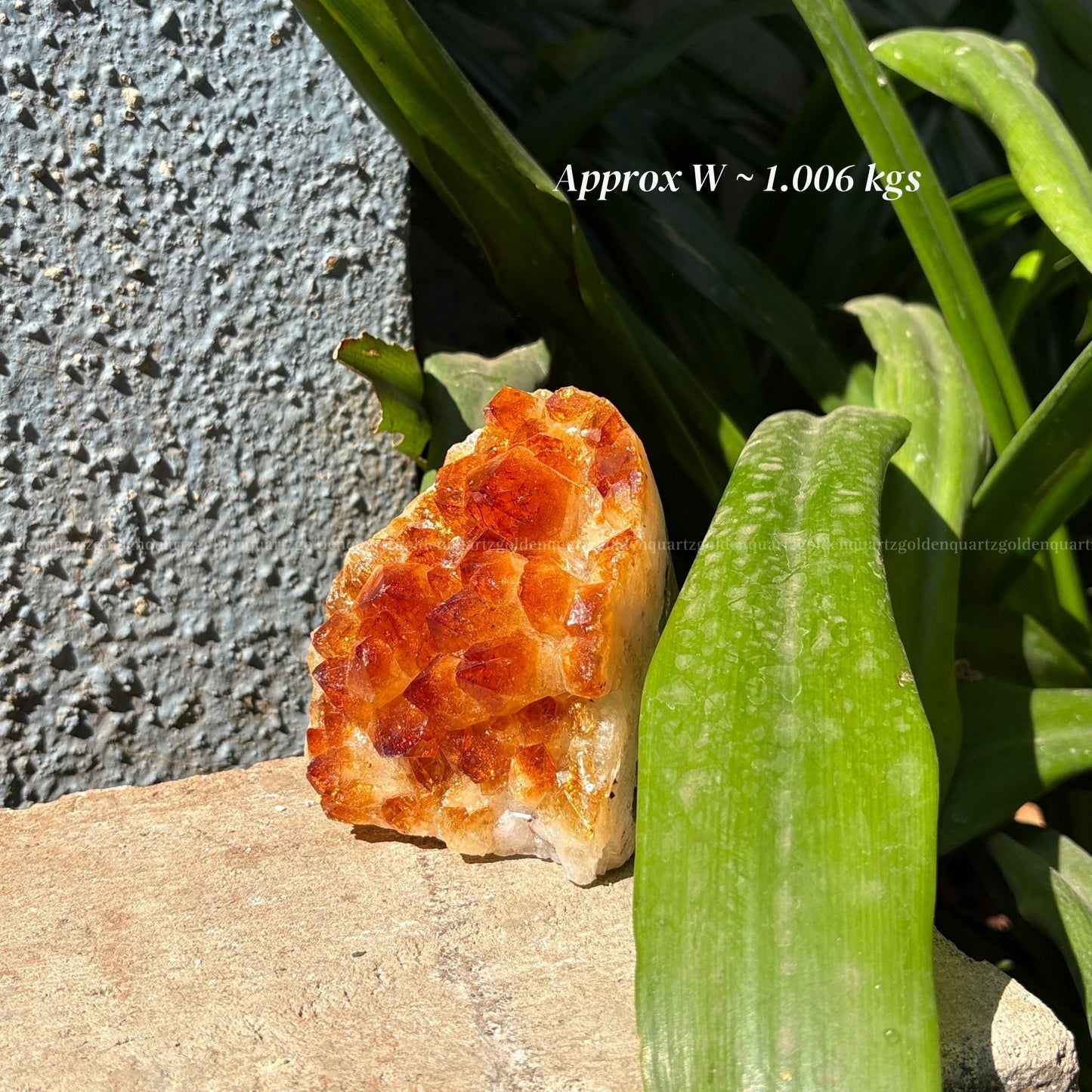 Citrine Cluster/ Geode