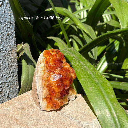 Citrine Cluster/ Geode