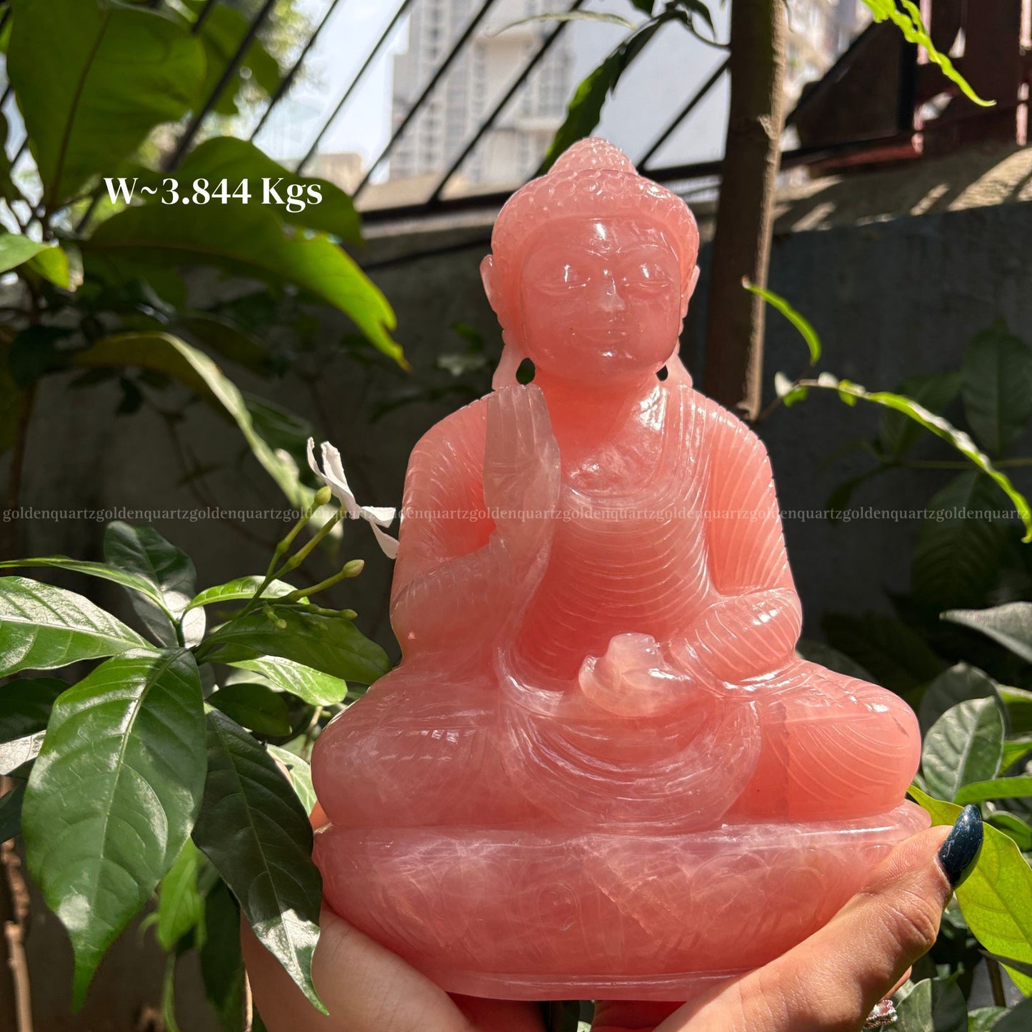 Rose Quartz Buddha – Love, Peace & Emotional Healing