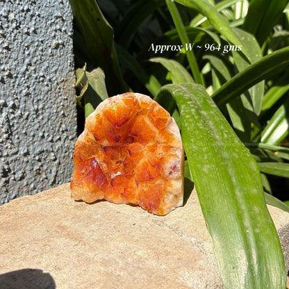 Citrine Cluster/ Geode