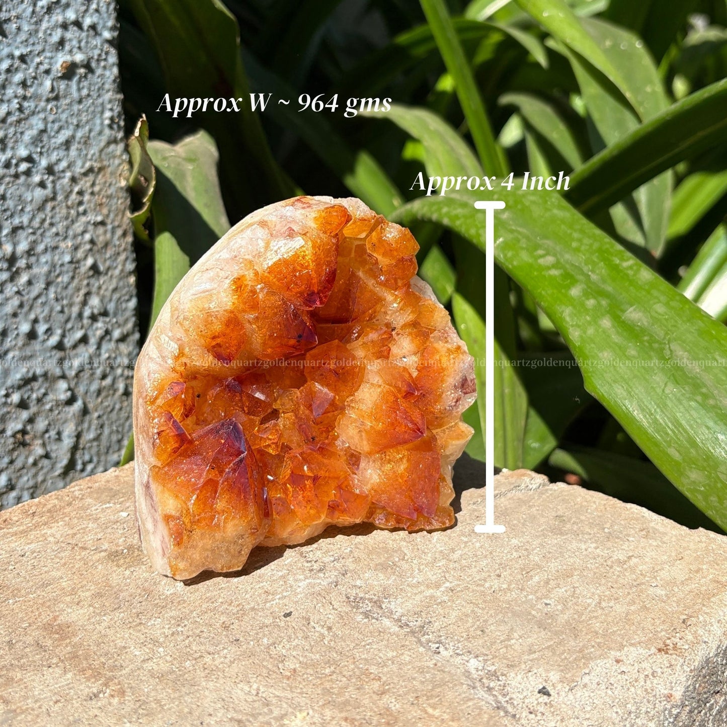 Citrine Cluster/ Geode