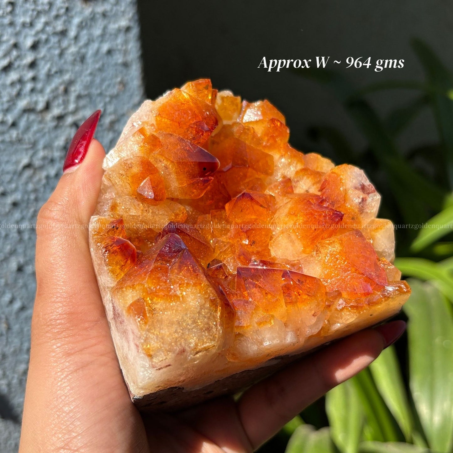 Citrine Cluster/ Geode