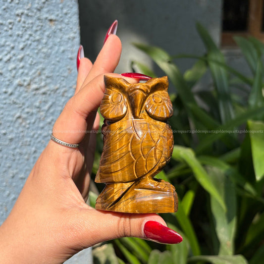Tiger Eye Owl - Golden Quartz 