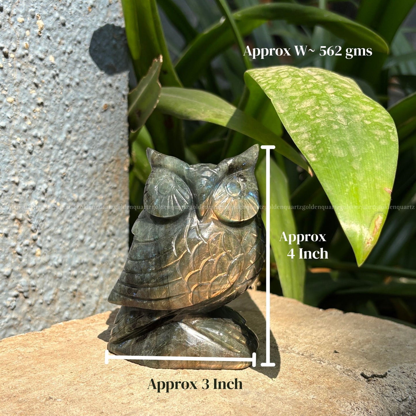 Labradorite Owl Big - Golden Quartz 