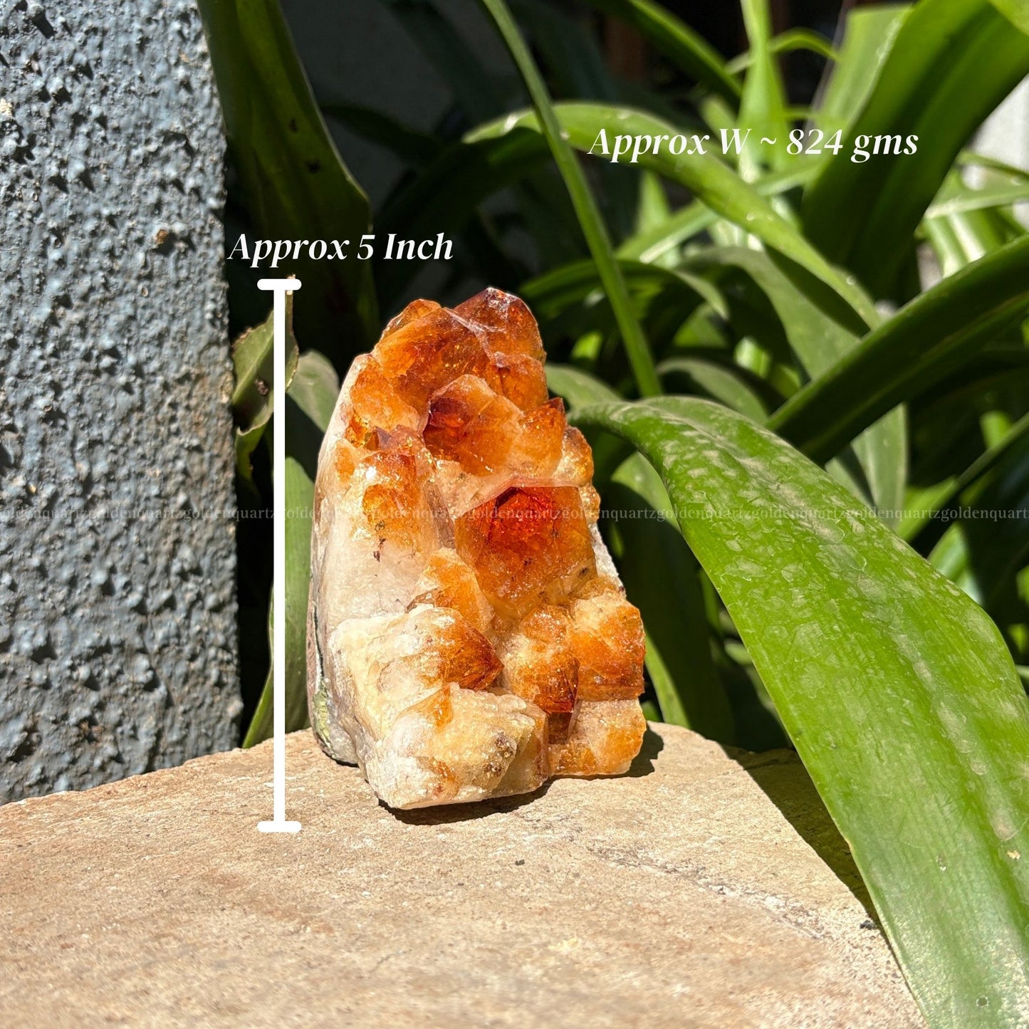 Citrine Cluster/ Geode