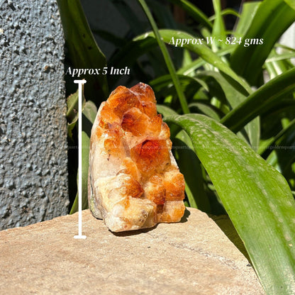 Citrine Cluster/ Geode