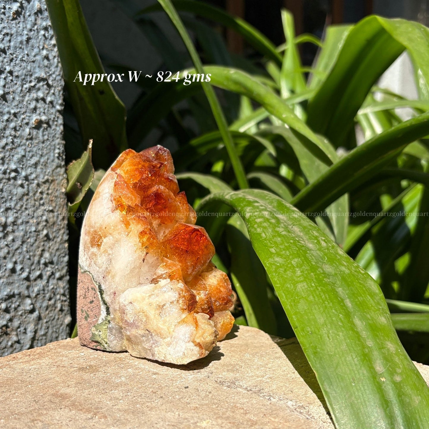 Citrine Cluster/ Geode
