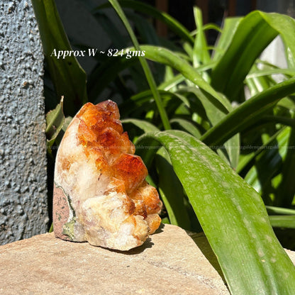 Citrine Cluster/ Geode
