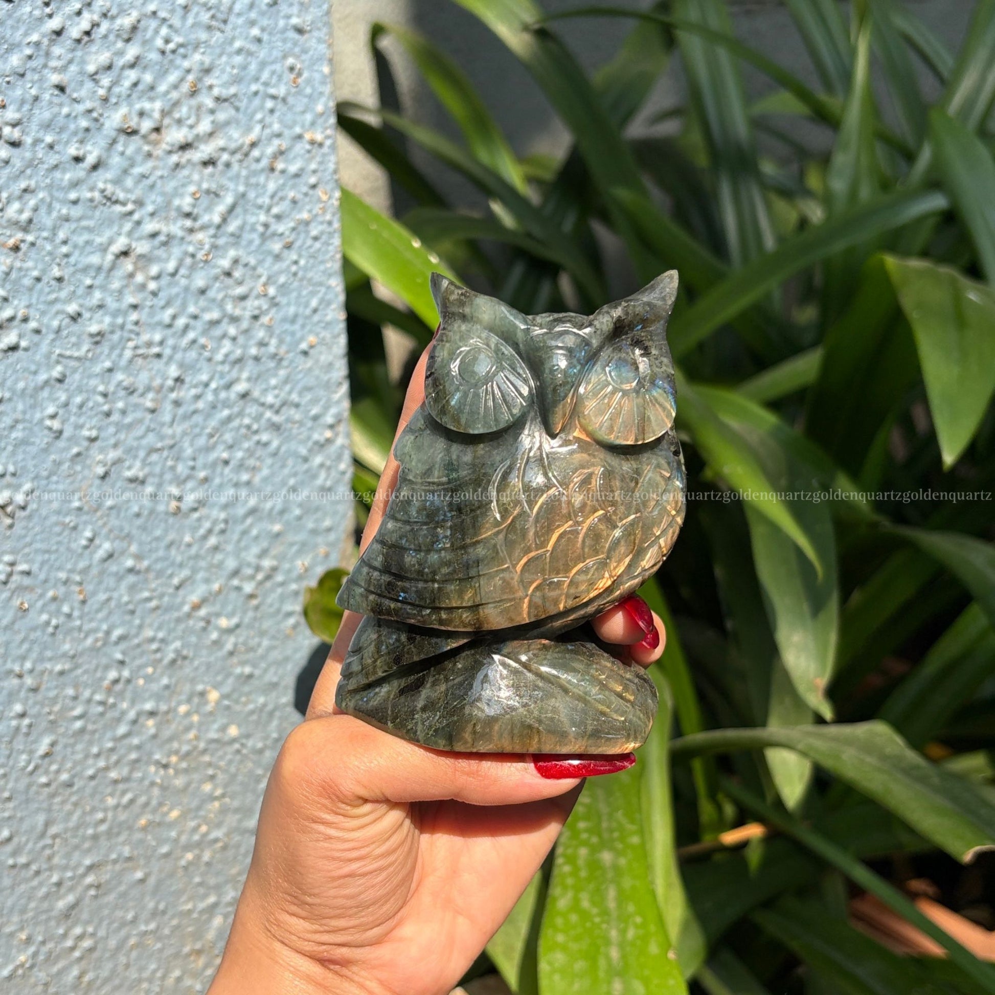 Labradorite Owl Big - Golden Quartz 