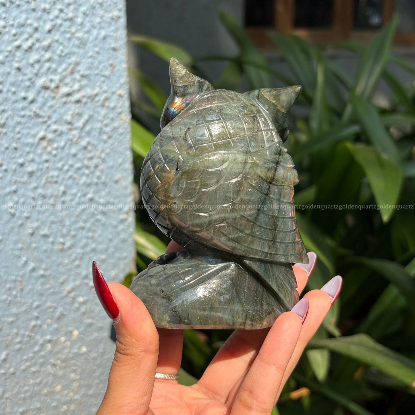 Labradorite Owl Big - Golden Quartz 