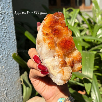 Citrine Cluster/ Geode