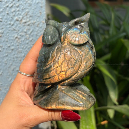 Labradorite Owl Big - Golden Quartz 