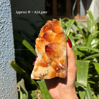 Citrine Cluster/ Geode